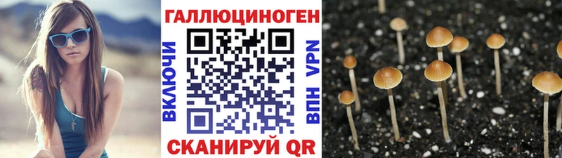 Галлюциногенные грибы MAGIC MUSHROOMS блэк спрут вход Шарья